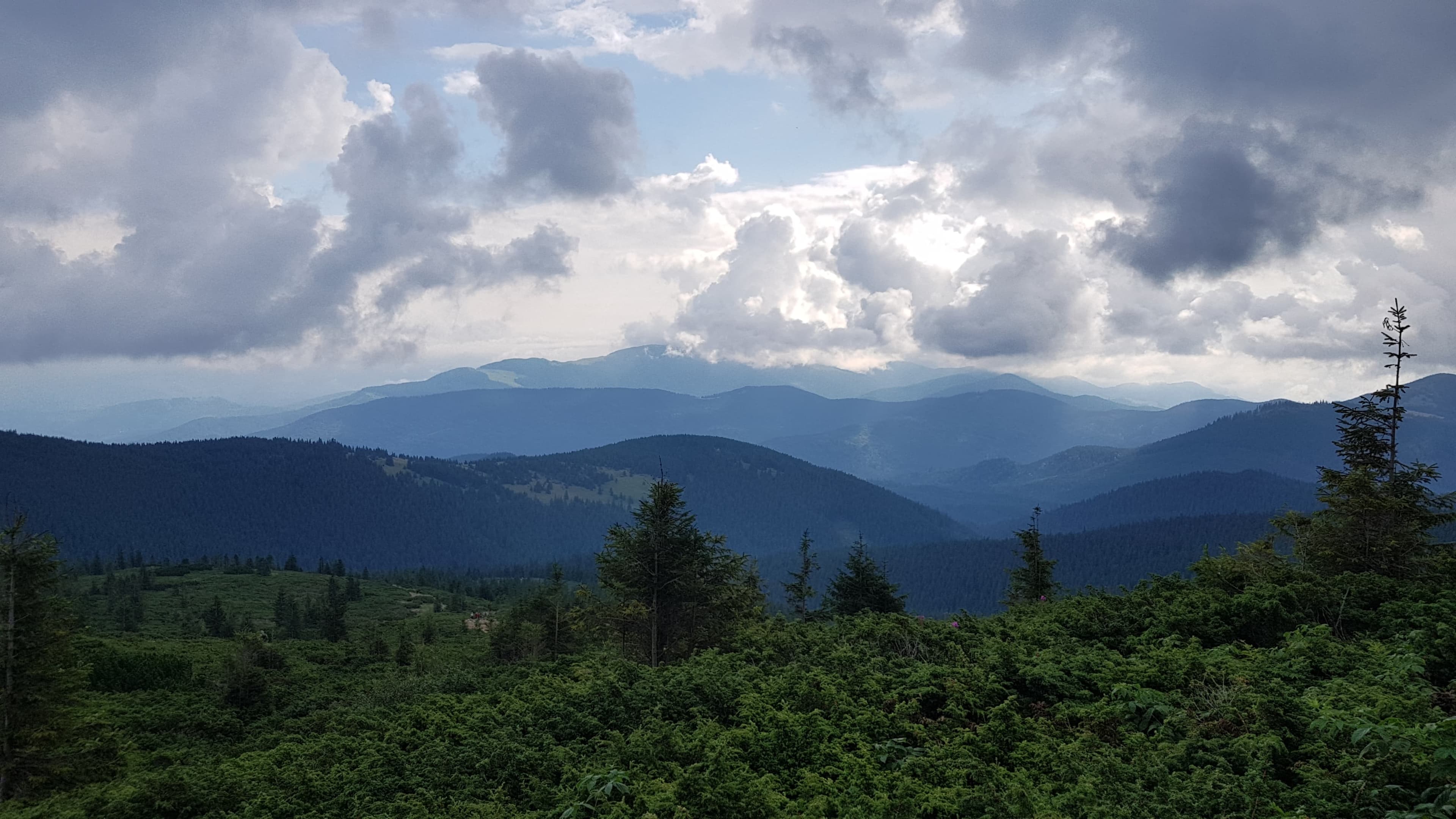 Carpathian Mountains in Ukraine